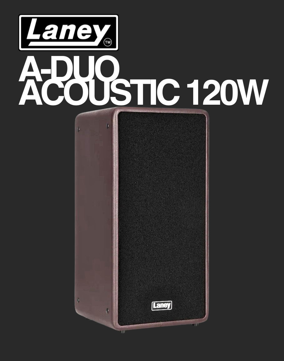 Laney Acoustic 120 watts - A-Duo