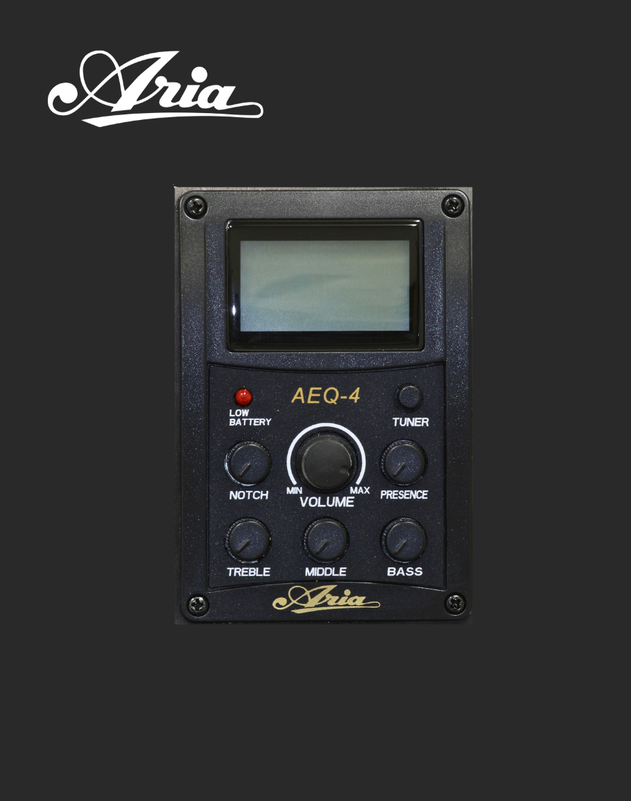 Aria A-35CE Electro Classical