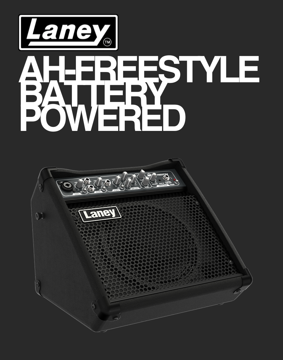 Laney Multi Input Combo - AH-Freestyle