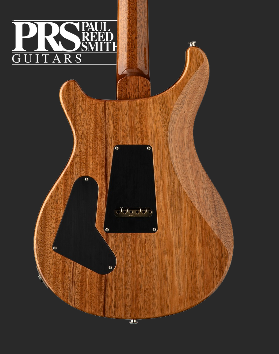 PRS Custom 24 - Aurora Borealis