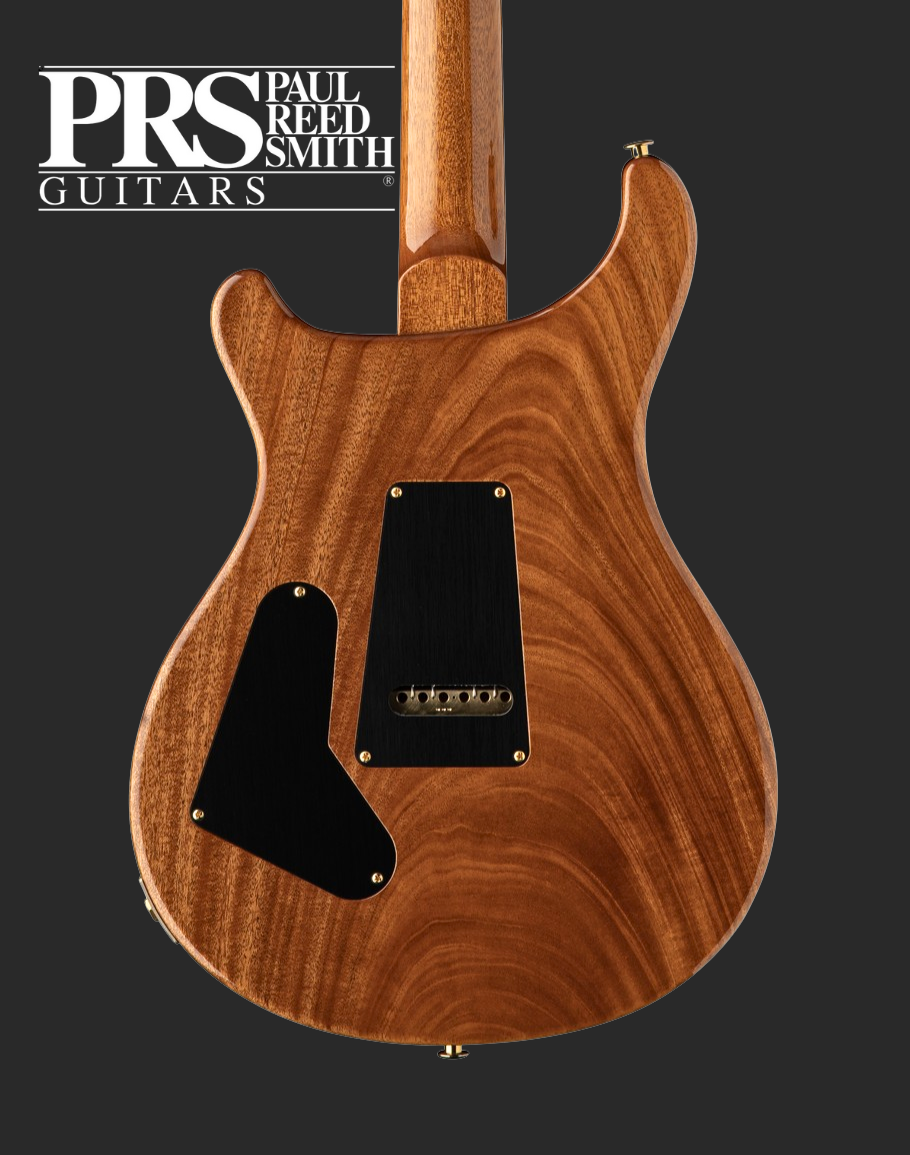 PRE-ORDER PRS Custom 24 - Carroll Blue