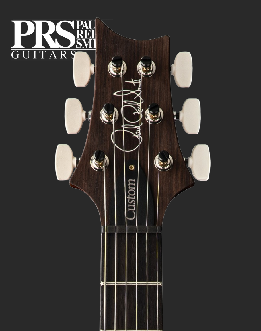 PRS Custom 24 - Faded Whale Blue