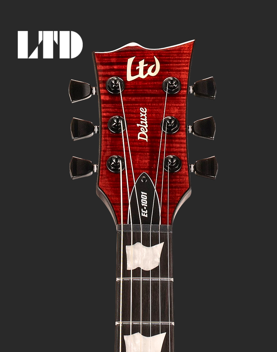 LTD EC-1001 Fluence - Tiger Eye