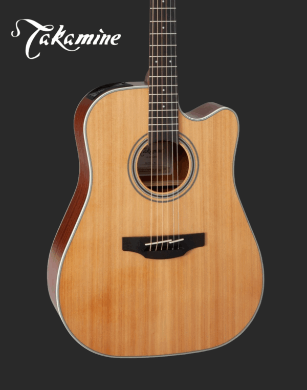 Takamine GD20CE-NS Electro Acoustic