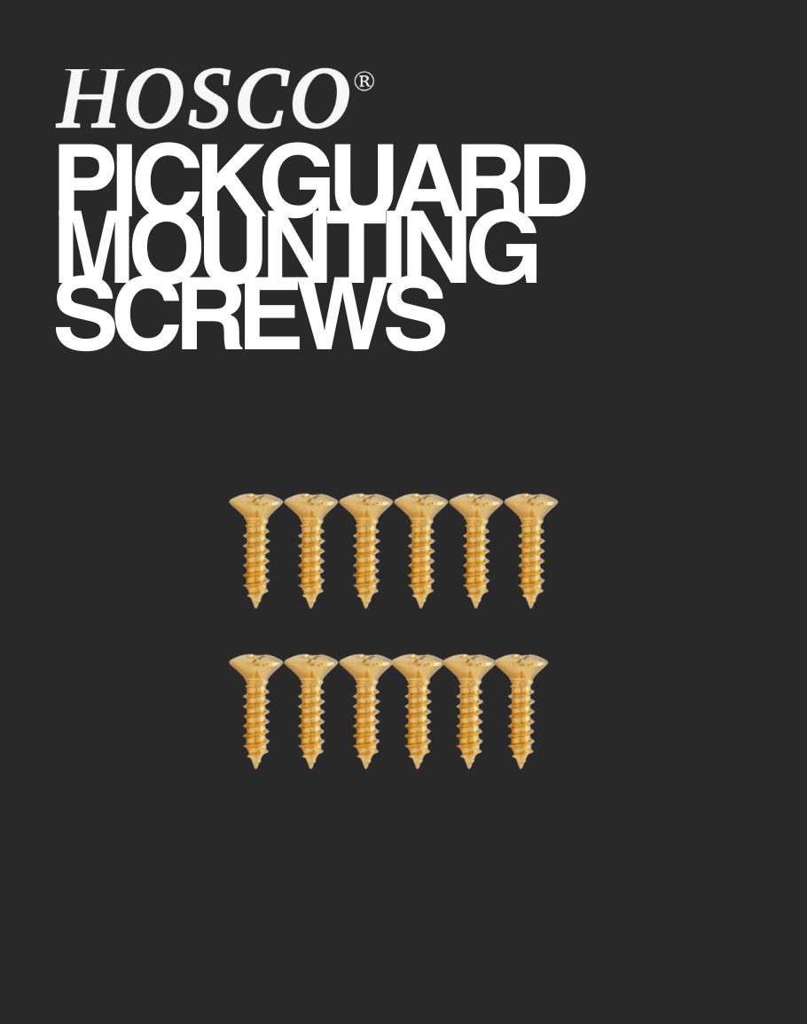 Hosco Pickguard Mounting Screws - Gold
