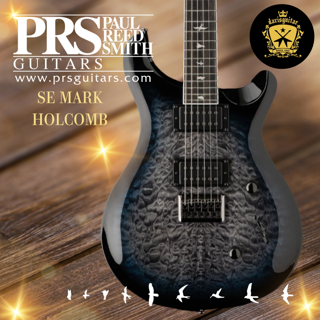 PRS Paul Reed Smith SE Mark Holcomb Electric Guitar with Gig Bag