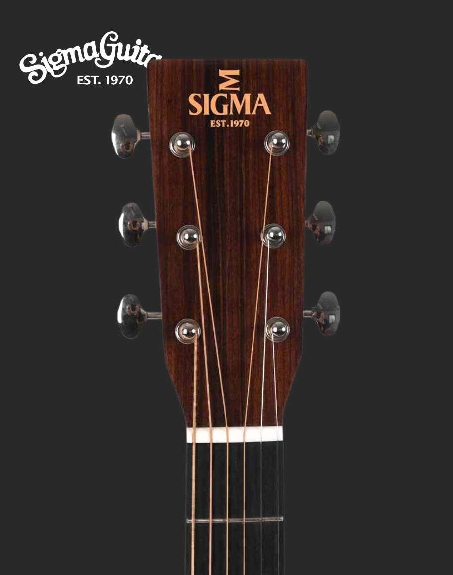 Sigma SDM-18 Full Solid