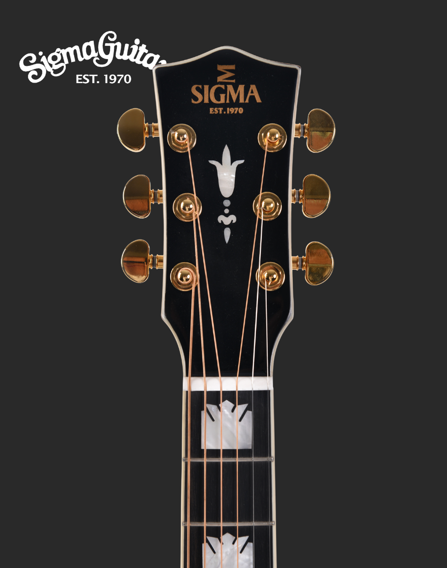 Sigma SGJR-SG200 Electro Acoustic