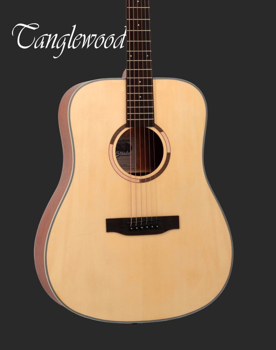 Tanglewood TS5 Acoustic
