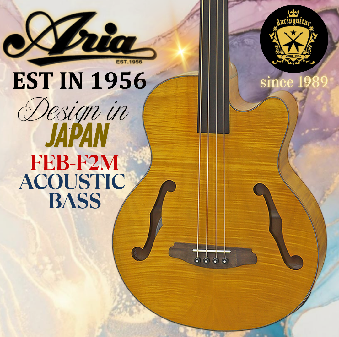 Aria 4 String Electric Acoustic Bass Guitar Medium Scale Fretless