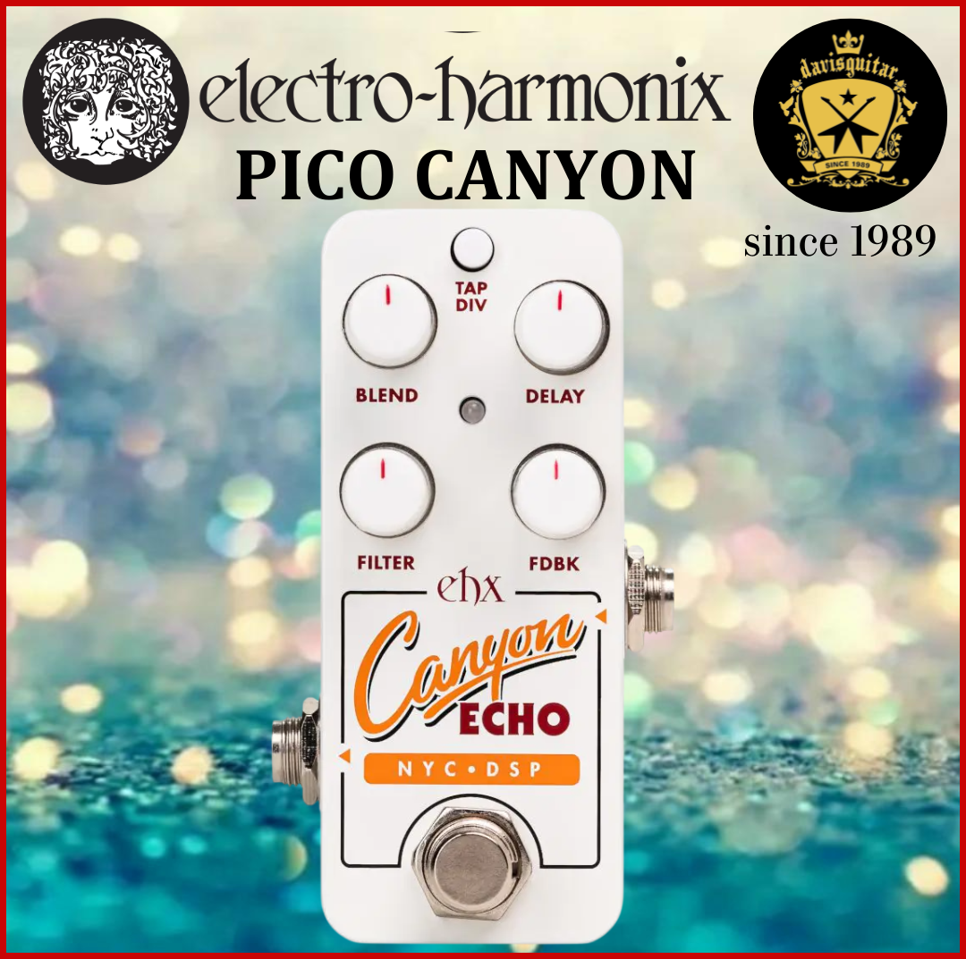 Electro Harmonix EHX Pico Canyon Echo Digital Delay Electric Guitar Effect Pedal