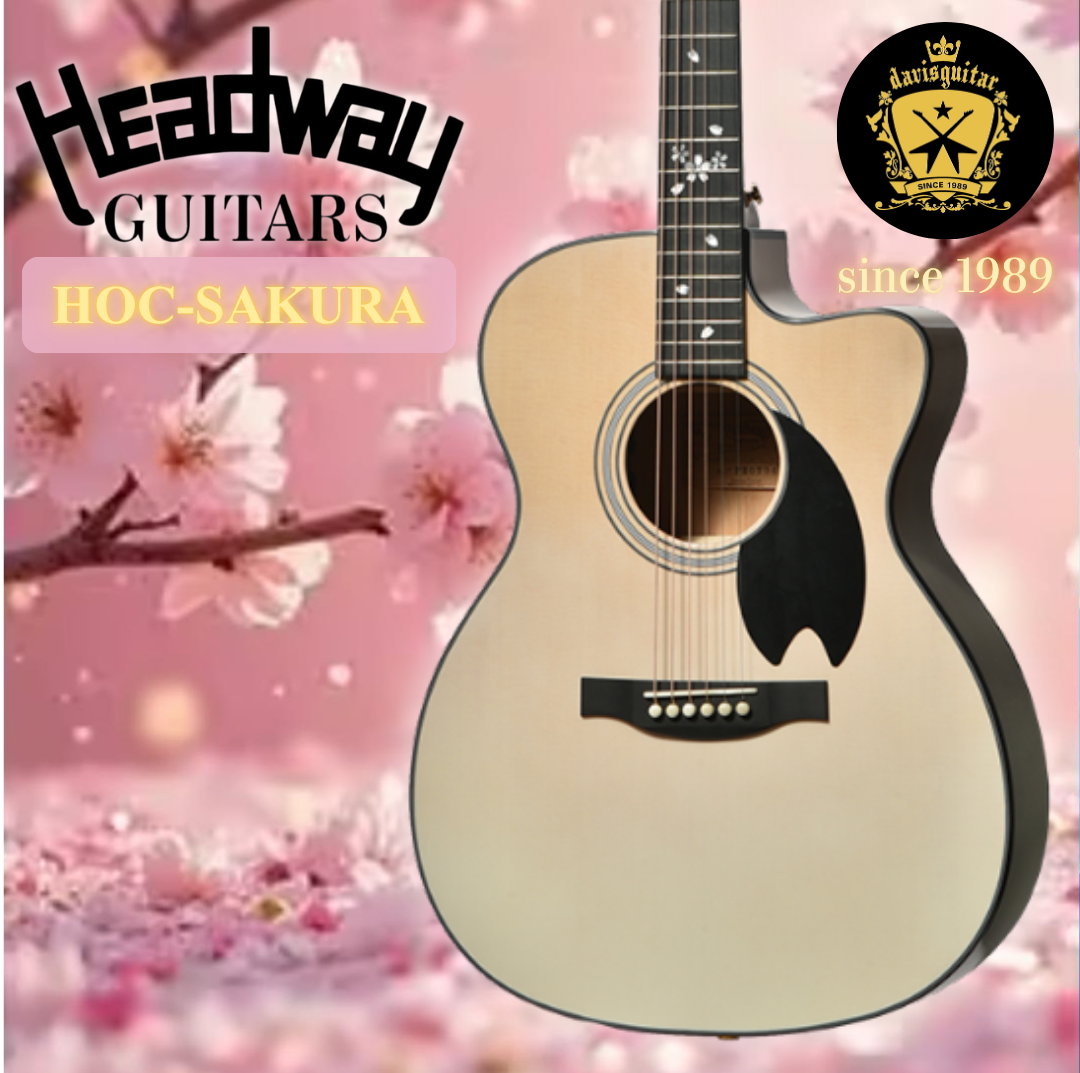 Headway Electric Acoustic Guitar HOC-SAKURA/JS SW-GRD Sakura Autumn Snow White Gradation