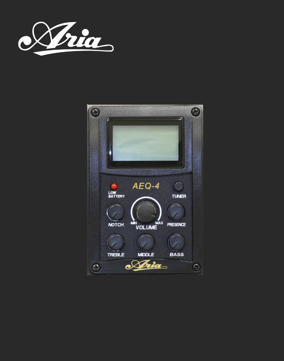 Aria Electro Classical - A35CE