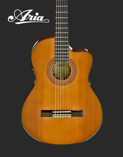 Aria Electro Classical - A35CE