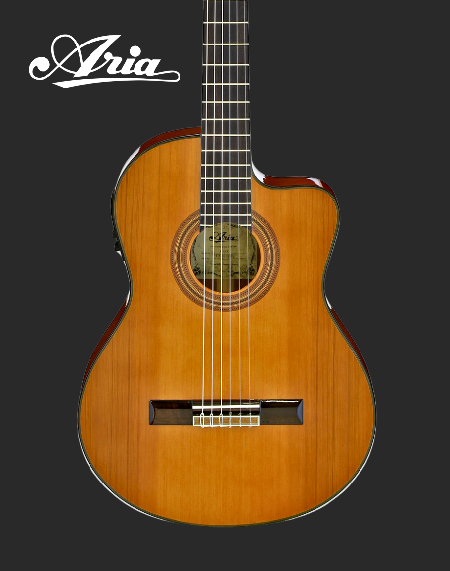 Aria Electro Classical - A35CE