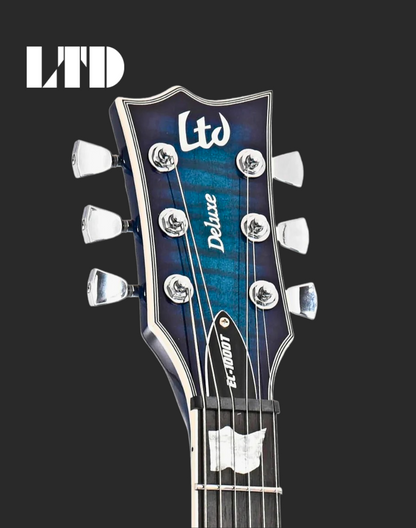 LTD EC-1000T FM - Violet Shadow