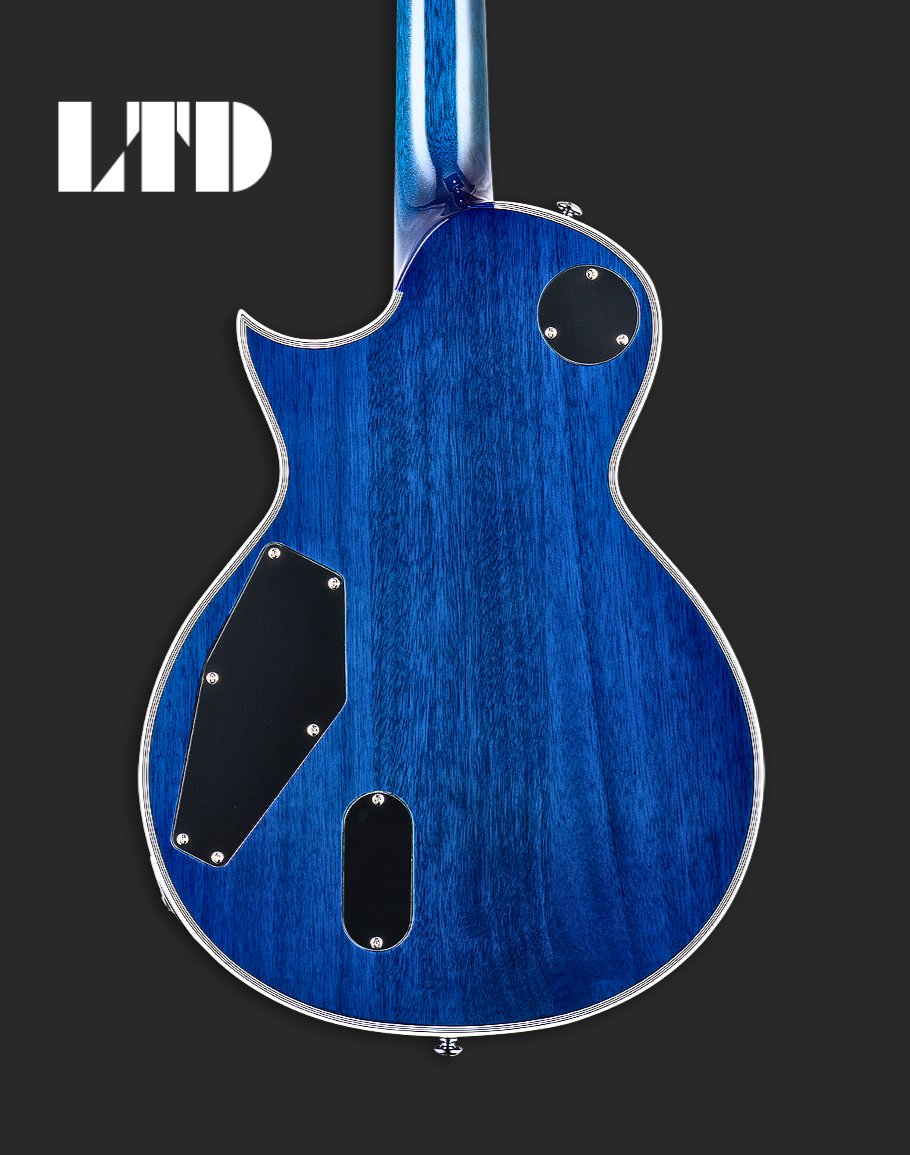 LTD EC-1000T FM - Violet Shadow