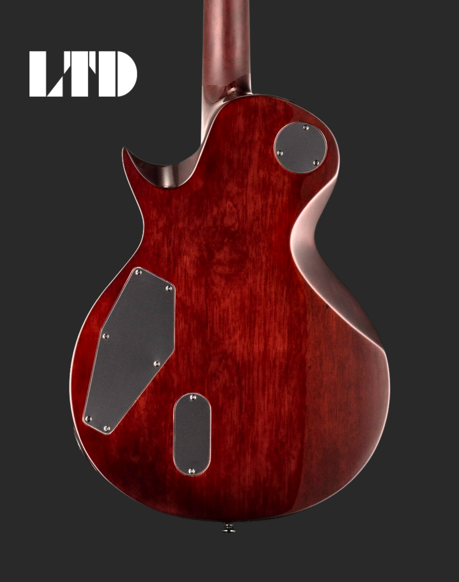 LTD EC-1001 Fluence - Tiger Eye
