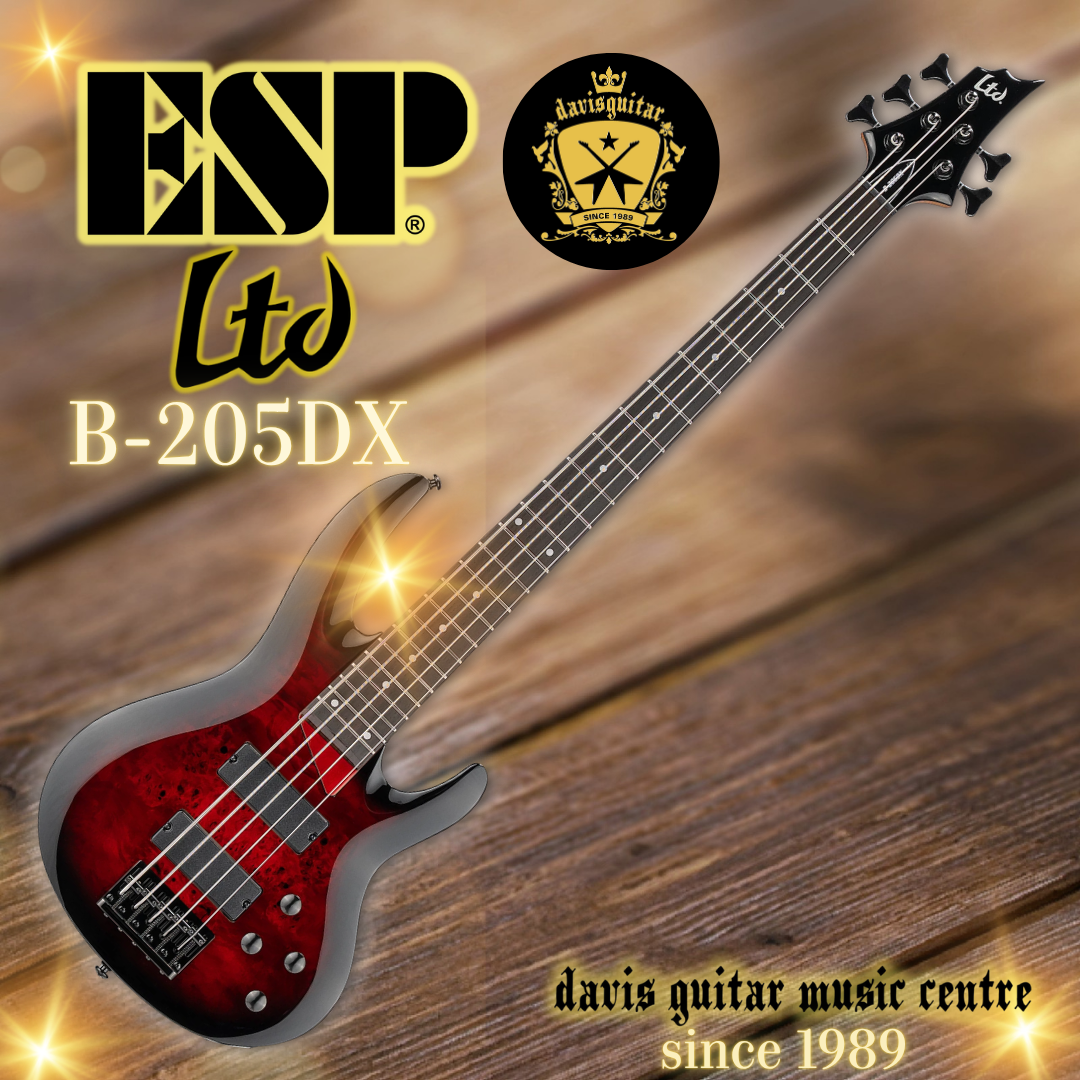 ESP LTD B-205DX 5 Strings Electric Bass Guitar Red Burst