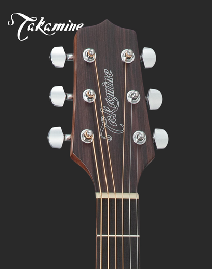 Takamine GD20NS Acoustic