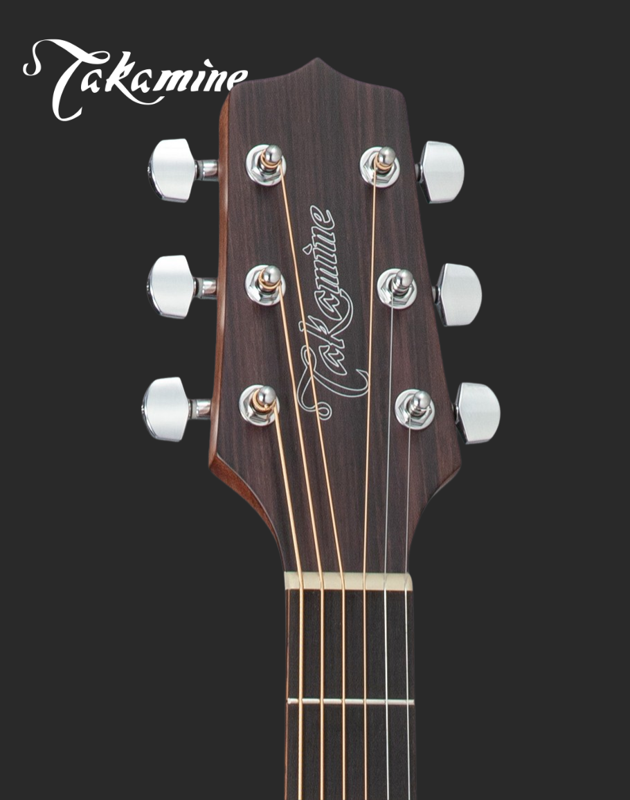 Takamine GD20NS Acoustic