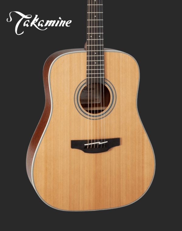 Takamine GD20NS Acoustic