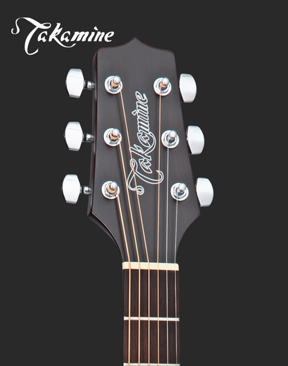 Takamine GD21CE SM Electro Acoustic