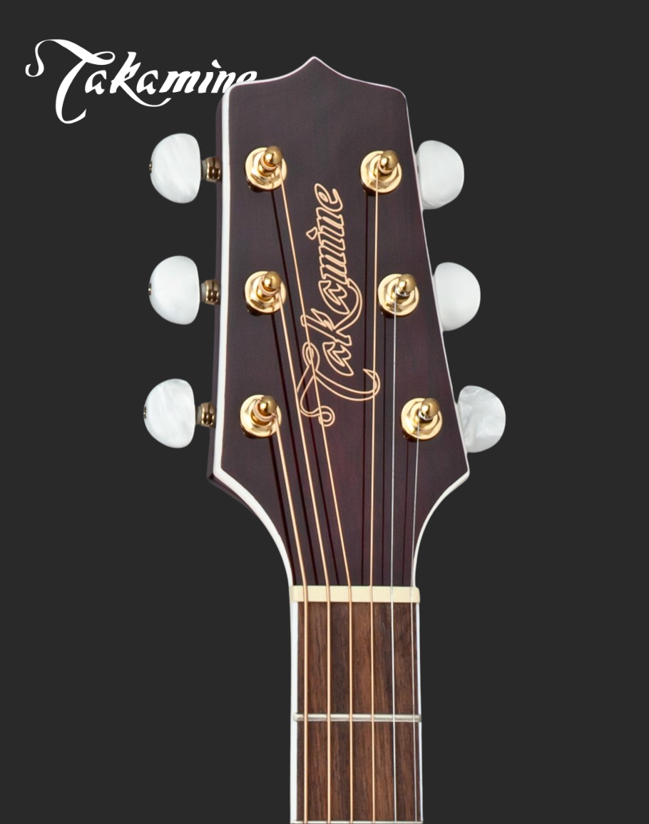 Takamine GN75CE WR Electro Acoustic