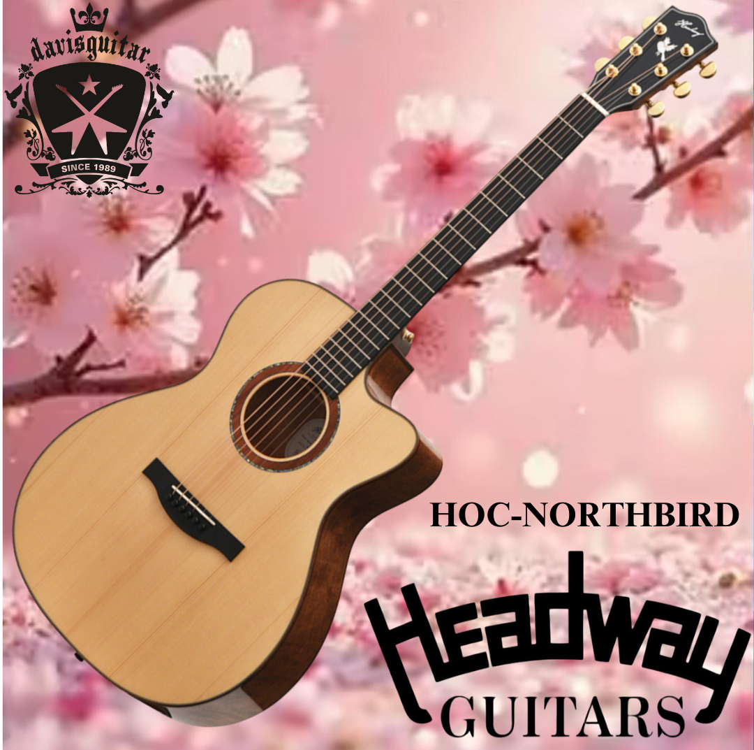 Headway Electric Acoustic Guitar HOC-NORTHBIRD