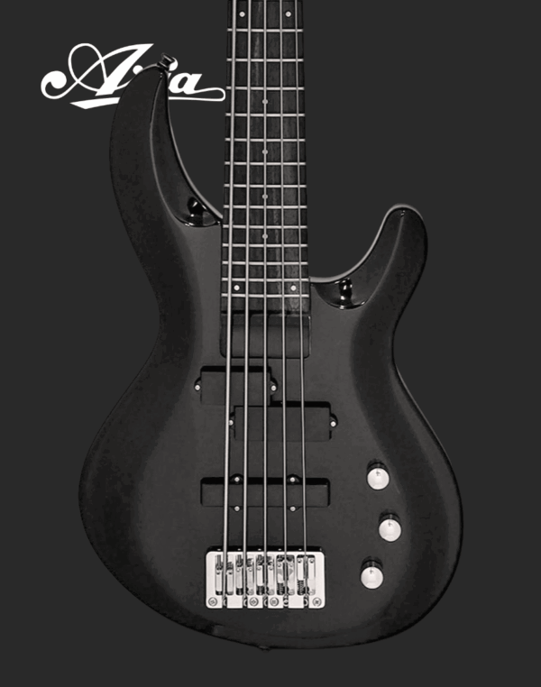 Aria IGB-STD/5 - Metallic Black