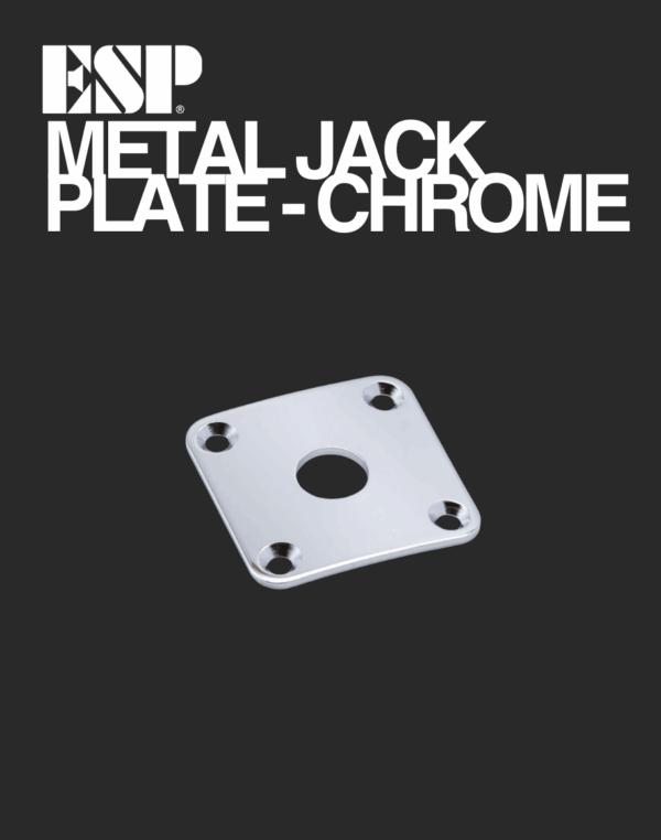 ESP Metal Jack Plate - Chrome – Davis Guitar