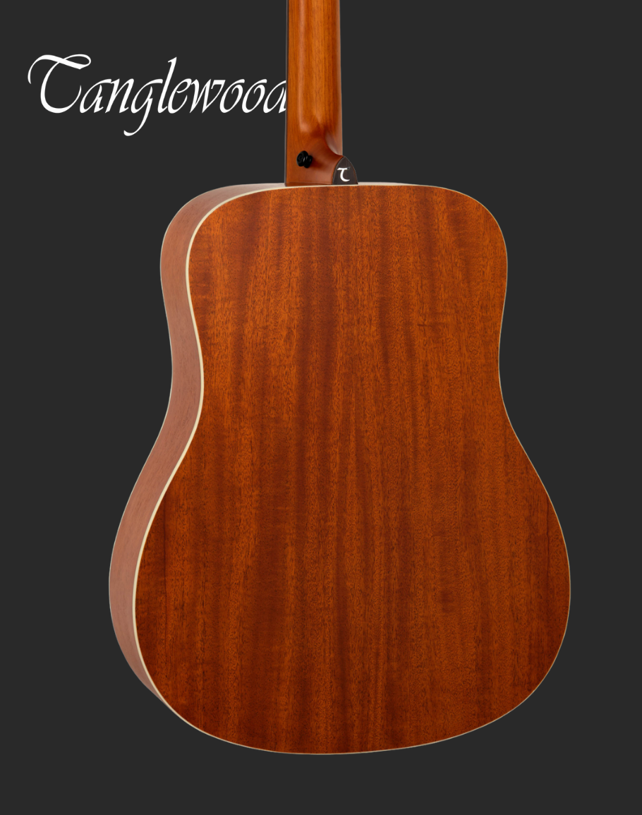 Tanglewood TS5 Acoustic