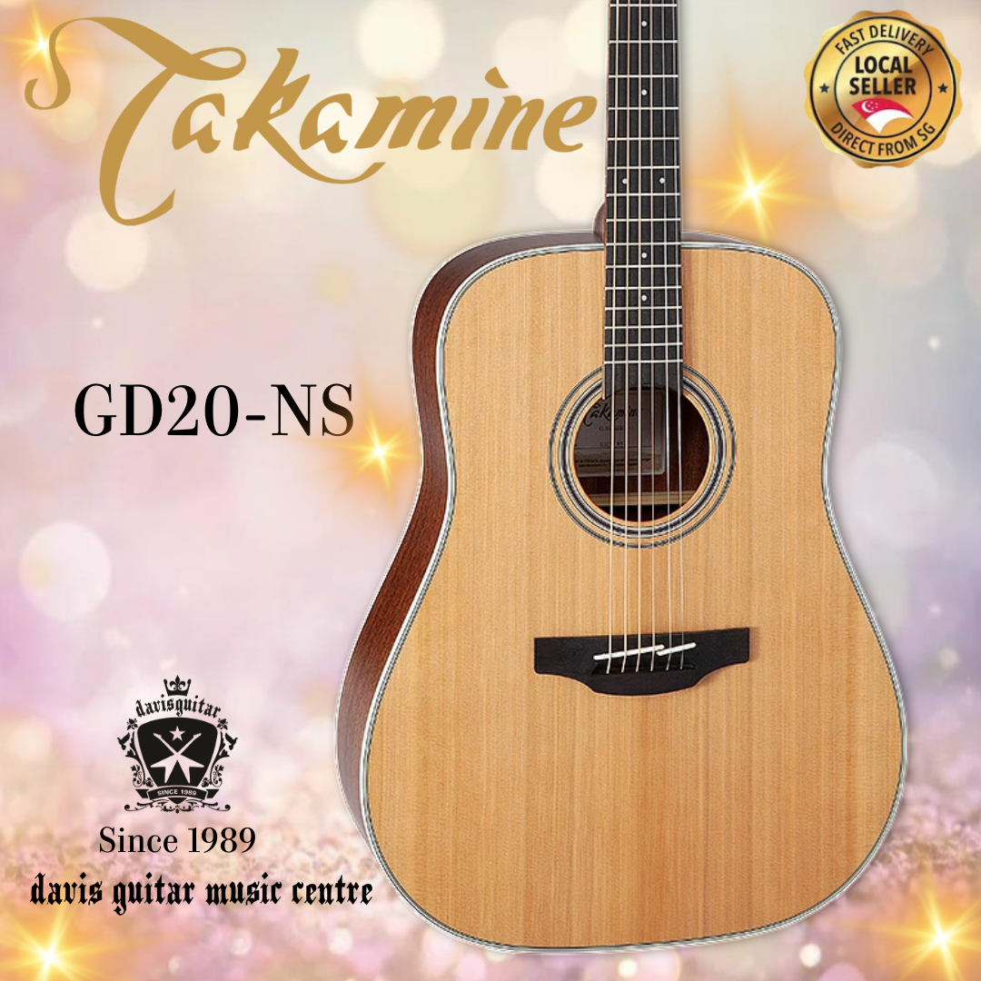 Takamine GD20-NS Solid Cedar Top Dreadnought Body Acoustic Guitar