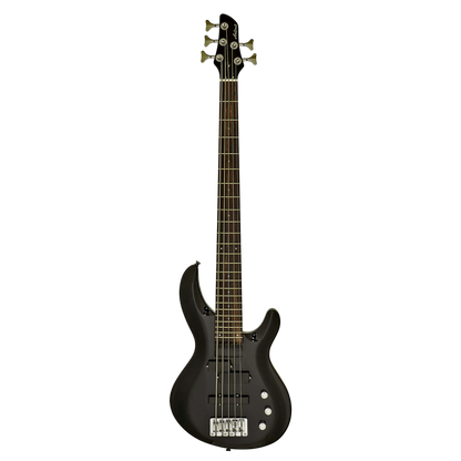 Aria 5 String Bass Guitar IGB-STD-5 Metallic Black PJ Pickup