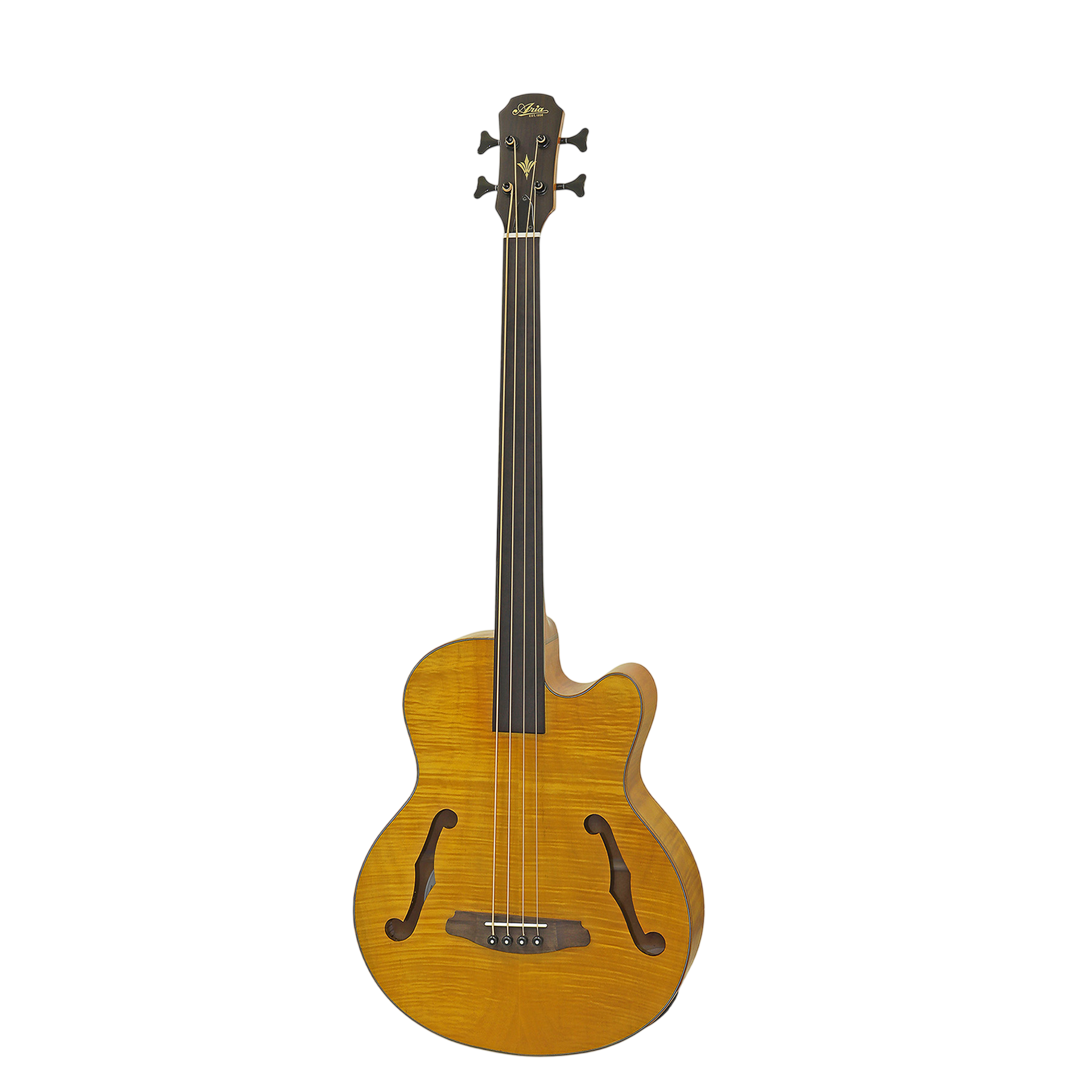 Aria 4 String Electric Acoustic Bass Guitar Medium Scale Fretless