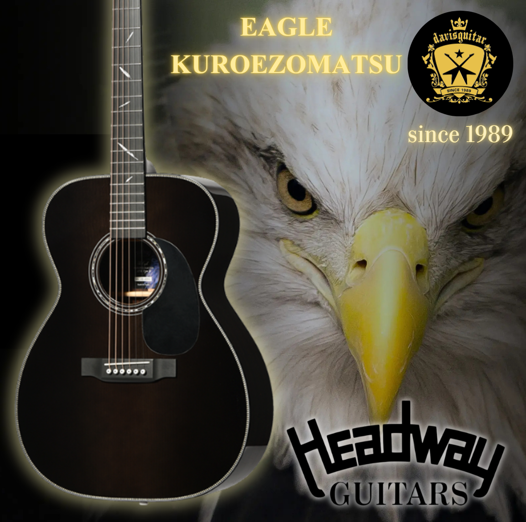 Headway The Eagle KUROEZOMATSU-STD Type F BK-VGR Master Craftsmanship Acoustic Guitar