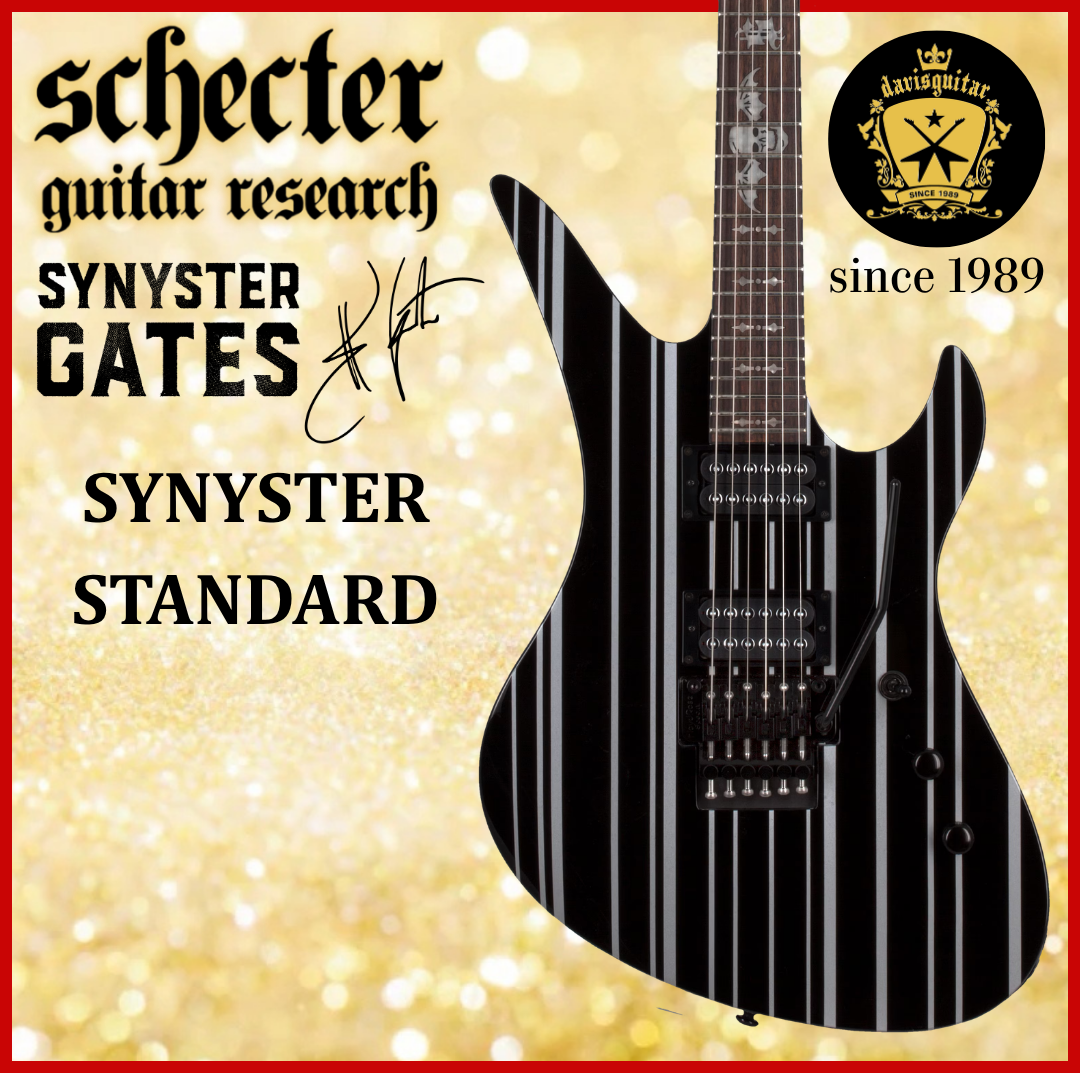 Schecter Synyster Standard Gloss Black with Silver Pinstripes Floyd Rose Electric Guitar