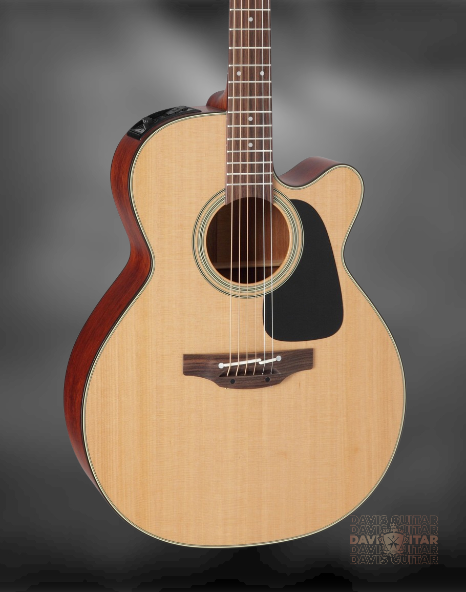 takamine pro series p1nc